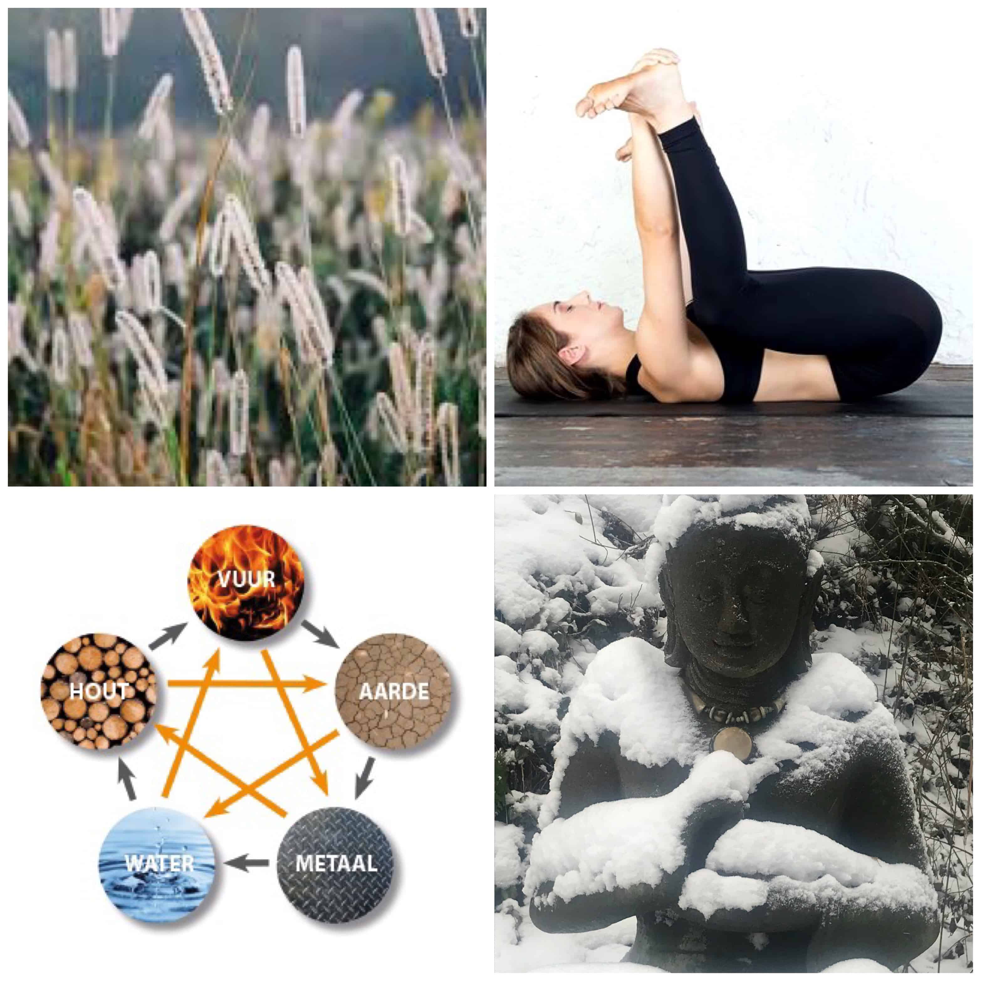 Yin Yoga Sessie Winter Editie Element Water Yoginomi 